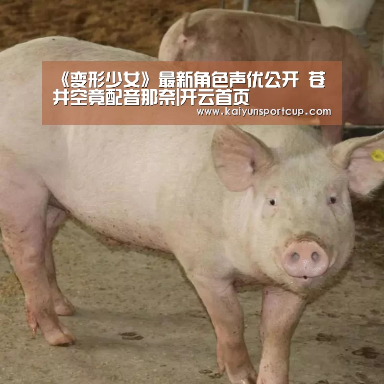 《变形少女》最新角色声优公开 苍井空竟配音那奈|开云首页(图1) 开云官网