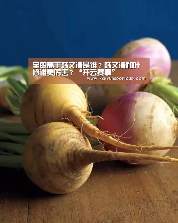 全职高手韩文清是谁?韩文清和叶修谁更厉害?“开云赛事”(图4) 开云赛事