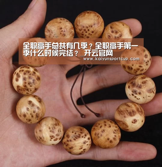 全职高手总共有几季?全职高手第一季什么时候完结?_开云官网(图3) 开云体育