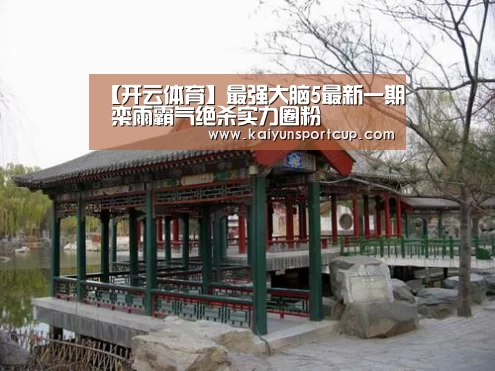 【开云体育】最强大脑5最新一期 栾雨霸气绝杀实力圈粉(图4) 开云体育