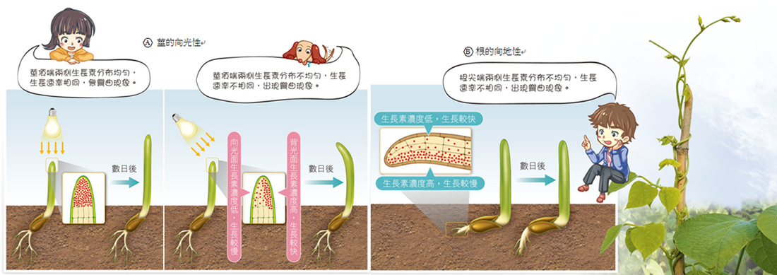 开云官网